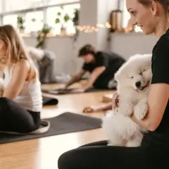 Joga ze szczeniakami gdzie – najlepsze miejsca na relaks z psami