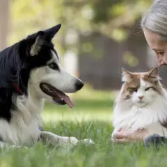Una mujer observa a un perro y un gato. Ella parece una etóloga estudiando el comportamiento animal.