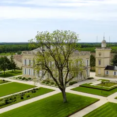 Magnifique domaine viticole sur la route des vins de Bordeaux, avec son château, ses jardins à la française et ses vignes à perte de vue.