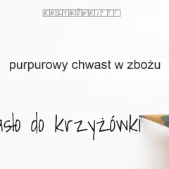 Liliowy chwast w życie - poznaj tajemnice kąkola i jego znaczenie
