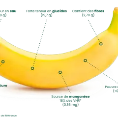 Banane : apport calorique modéré (90,5 kcal), riche en eau, glucides, fibres, potassium et manganèse. Faible en lipides. Nutri-score A.