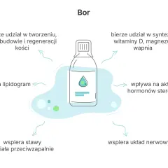 Bor pomaga w tworzeniu kości, syntezie witaminy D, wspiera stawy i układ nerwowy.