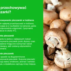 Jak przechowywać pieczarki? Wskazówki dotyczące przechowywania w lodówce, mrożenia i suszenia.