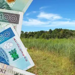 Polskie banknoty 50 i 100 zł na tle zielonej łąki i lasu. Zastanawiasz się, ile kosztuje 1 ha łąki?