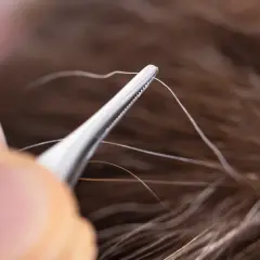 Pinzas extraen un cabello blanco, recordando el mito de que si te arrancas una cana salen más.