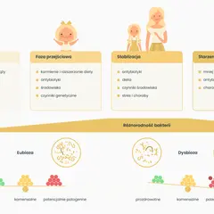 Ilustracja pokazuje, jak zbadać mikrobiom jelitowy, przedstawiając jego rozwój od narodzin do starości oraz różnice między eubiozą a dysbiozą.