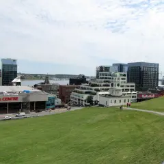 Widok na centrum Halifax z zielonym wzgórzem i budynkami, w tym Scotiabank Centre.