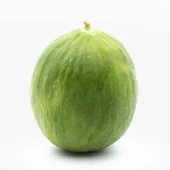 Un tondo cetriolo barattiere verde, con una leggera peluria e un piccolo picciolo in cima, su sfondo bianco.