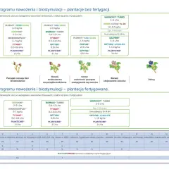 Program nawożenia borówek amerykańskich: kiedy nawozić borówki, jakie nawozy stosować w zależności od fazy wzrostu i typu plantacji.