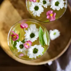 Dwa orzeźwiające napoje z kwiatami i liśćmi. Letni ice tea w szklankach, ozdobiony białymi i różowymi kwiatami.