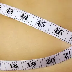 Wisceralna tkanka tłuszczowa: Dlaczego jest niebezpieczna?