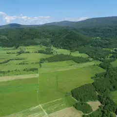 Ile kosztuje przekształcenie działki rolnej na budowlaną? Sprawdź koszty!