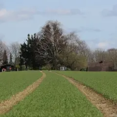 Droga przez zielone pole, zapowiadająca przekształcenie działki rolnej na budowlaną. W oddali widać domki i drzewa.