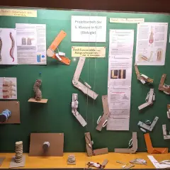 Projektorientierter Unterricht: Schüler der 5. Klasse bauen Modelle zur Biologie, z.B. zur Wirbelsäule und Muskeln.