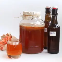 Skąd kombucha? Podróż przez wieki: od cesarzy do Twojej szklanki.