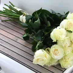 Co oznacza biała róża na pogrzebie? Symbolika, która porusza serce