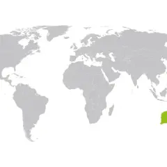 Mapa świata z wyróżnioną Australią. Idealne miejsce na wysłanie paczki do Australii.