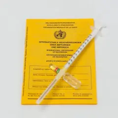 Certificado internacional de vacunación con jeringuilla. Documento esencial para viajar a Tailandia y otros destinos.