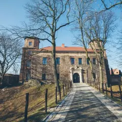 Zamek w Toszku: historia, zwiedzanie i praktyczne informacje dla turystów