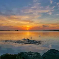 Atardecer en la laguna de Puerto Rey. Patos nadan en aguas tranquilas reflejando el cielo anaranjado.