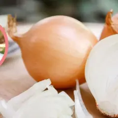 Czy pies może jeść cebulę? Dowiedz się, jak uniknąć zatrucia