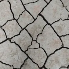 Tierra agrietada, como si la hubieran partido las fuerzas de un terremoto. Un paisaje árido que invita a soñar con terremoto.