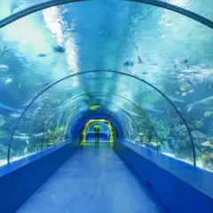 Oceanarium Antalya - Niezapomniane atrakcje i wskazówki dla odwiedzających