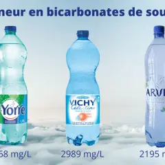 Trois bouteilles d'eau minérale : S-Yorre, Vichy Célestins et Arvie, affichant leur teneur en bicarbonates de soude.
