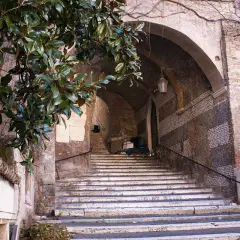 Scalinata romana con alberi di magnolia e un arco antico. Un'idea per cosa vedere a Roma domani, un angolo suggestivo e storico.