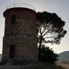 Torre circolare in pietra con una bicicletta appoggiata, vicina a un pino solitario. Paesaggio collinare sullo sfondo, forse la macchia della Magona.