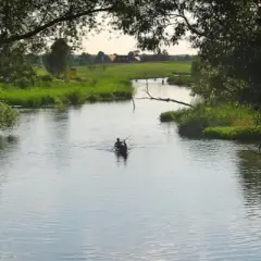 Ile rzek wpływa do Bałtyku i dlaczego to ma znaczenie dla ekosystemu