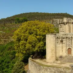 El Castelo de Sobroso, una fortaleza de piedra, se alza majestuoso entre colinas verdes y un gran árbol frondoso.