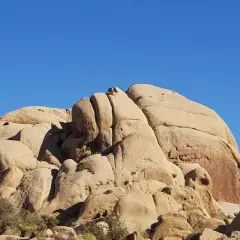 Duże, piaszczyste formacje skalne pod błękitnym niebem w Joshua Tree National Park.