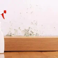 Sprühflasche neben schimmeliger Wand. Hilfe bei Stockflecken entfernen, auch in der Waschmaschine.