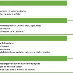 Tabla de hitos del desarrollo del lenguaje en niños, desde balbuceo hasta frases complejas. Útil para detectar retraso en el desarrollo del lenguaje.