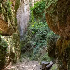 Un sentiero stretto tra alte pareti rocciose ricoperte di muschio e vegetazione. Un luogo selvaggio dove la natura regna sovrana, cosa vedere in questo canyon incantato.