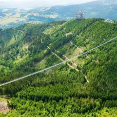 Długi, wąski sky bridge przecina gęsty, zielony las na zboczu góry. Na szczycie widać wieżę widokową.