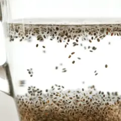 Szklanka z wodą i nasionami chia. Nasiona tworzą gęstą warstwę na dnie i unoszą się w wodzie, tworząc zdrowy napój.