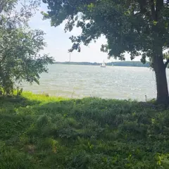 Idealne miejsce pod przyczepę kempingową nad jeziorem. Słońce odbija się od fal, żaglówki płyną po wodzie, a drzewa dają cień.