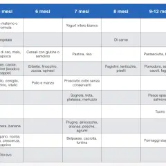 Tabella svezzamento 4 mesi: latte, brodo vegetale, cereali, verdure, carne, pesce, uova, frutta, formaggi e grassi.