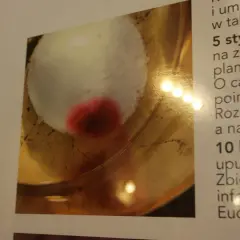 Hostia z czerwoną plamą, przypominająca cud. Tekst obok opisuje wydarzenia z 5 stycznia i 10 kwietnia, dotyczące informacji o Eucharystii.