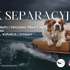 Jak szkolić szczeniaka? Przewodnik, by uniknąć chaosu i zbudować więź