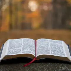 Otwarta Biblia na kamieniu, w otoczeniu jesiennych liści. Czerwona wstążka wskazuje stronę, gdzie szukamy pocieszenia i modlitwy o cud.