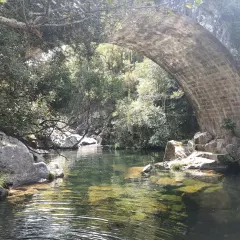 Agua cristalina bajo un puente de piedra en la playa fluvial Maceira, rodeada de vegetación exuberante y rocas.