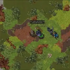 Postacie w darmowym mmorpg rozmawiają na leśnej polanie.