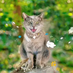 Un chat tigré, la bouche ouverte, semble rire aux éclats, entouré de feuilles stylisées et de fleurs bleues.