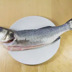 Jak wygląda ryba miruna? Cechy, które zaskoczą każdego miłośnika mórz
