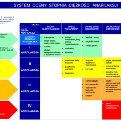 System oceny ciężkości anafilaksji: od łagodnych objawów skórnych po niewydolność krążenia, wskazówki dotyczące podawania adrenaliny.