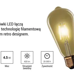 Stylowa żarówka vintage z technologią filamentową. Dowiedz się, filament co to – to nowoczesne rozwiązanie w retro stylu. 4.5W, 420 lm, 25 000 h.