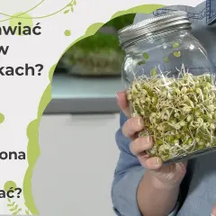Jak uprawiać kiełki w domu - proste sposoby na zdrowe dodatki do diety